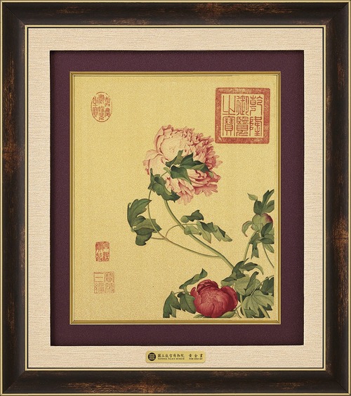 錦繡F－牡丹