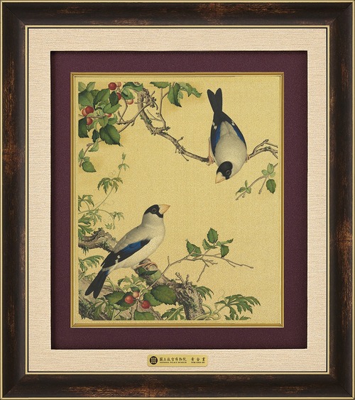 錦繡F－櫻桃桑鳲