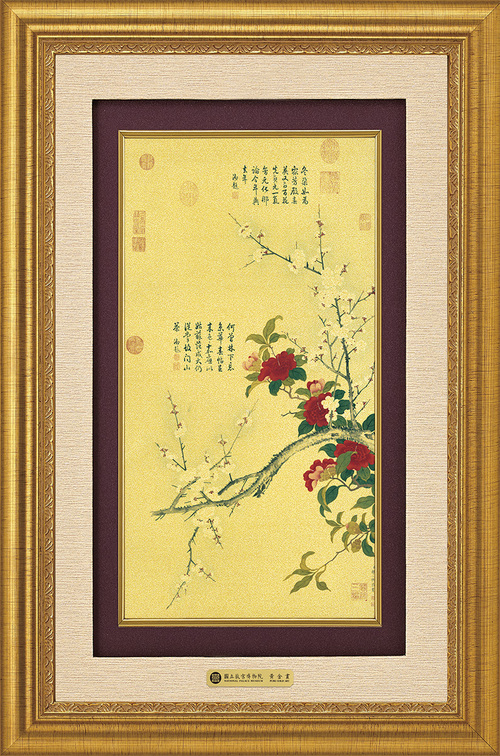 錦繡W－白梅山茶